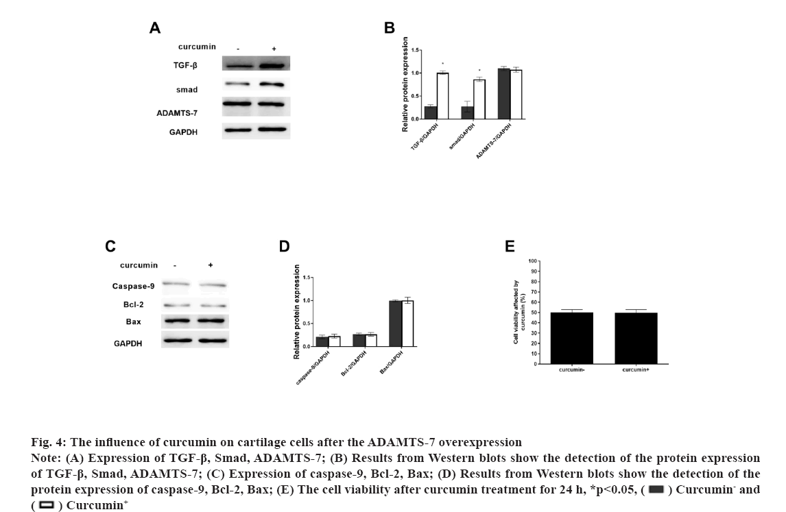 IJPS-overexpression