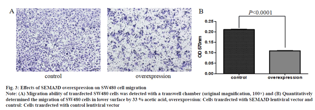 IJPS-overexpression