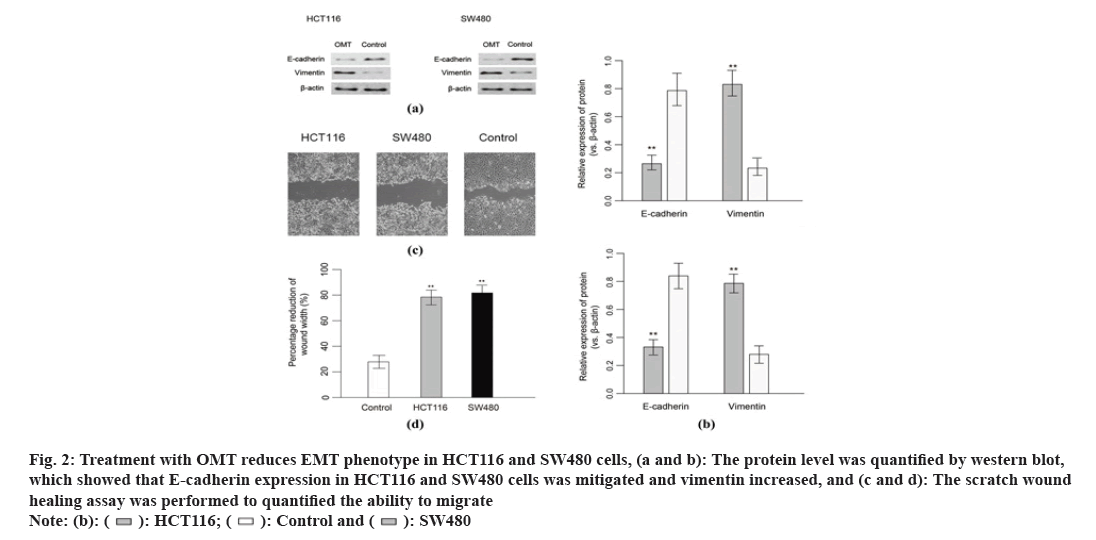 IJPS-phenotype