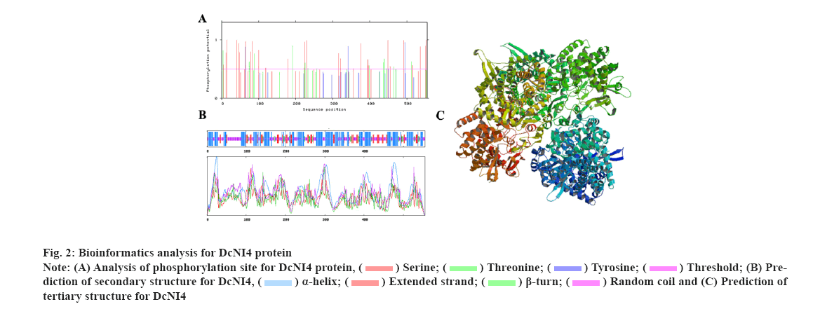 IJPS-phosphorylation