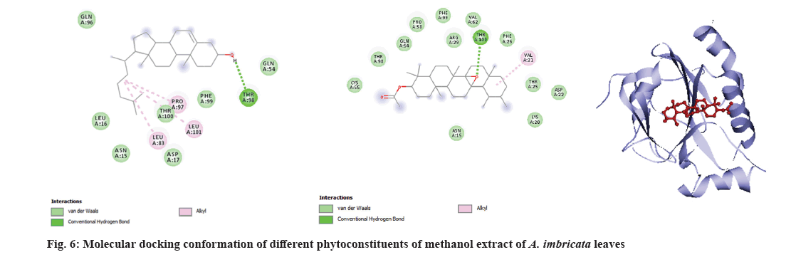 IJPS-phytoconstituents