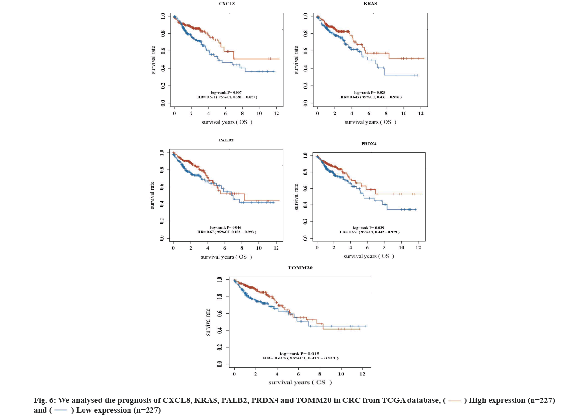 IJPS-prognosis