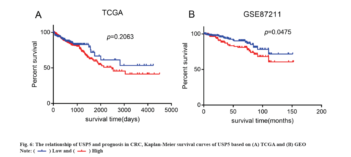 IJPS-prognosis