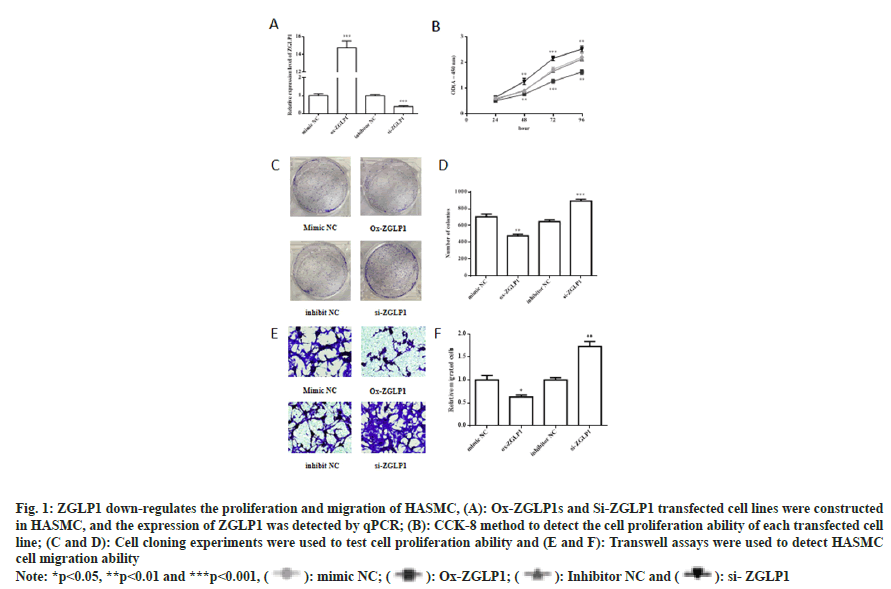 IJPS-proliferation