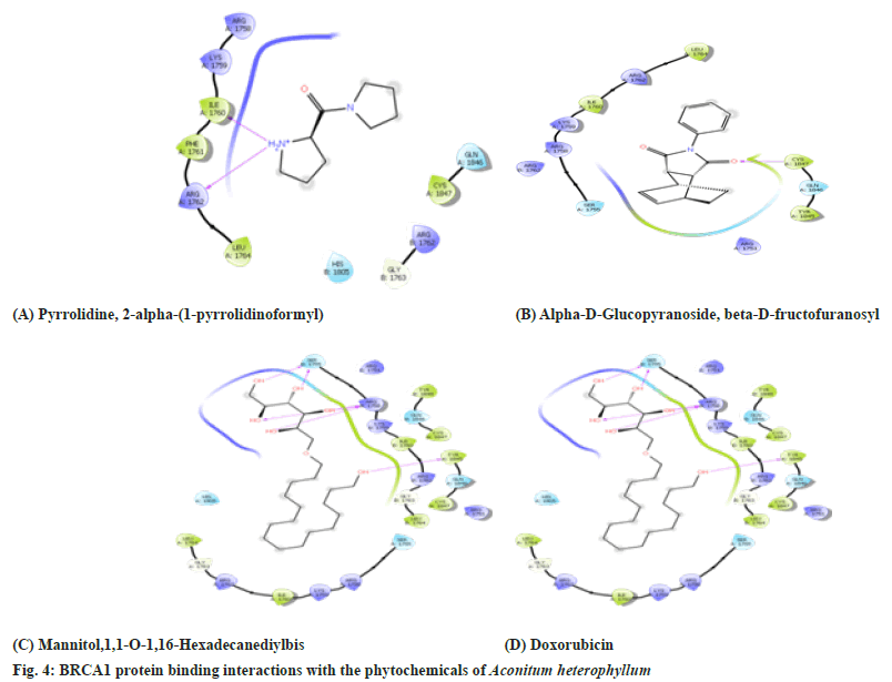 IJPS-protein