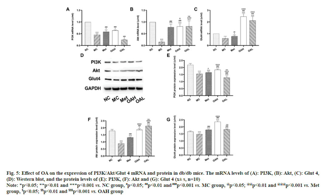 IJPS-protein