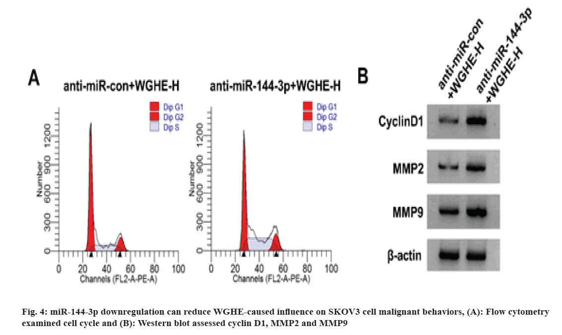 IJPS-assessed