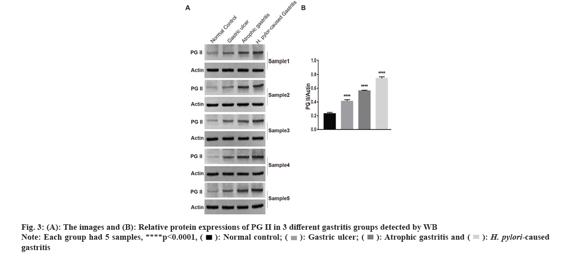 IJPS-protein