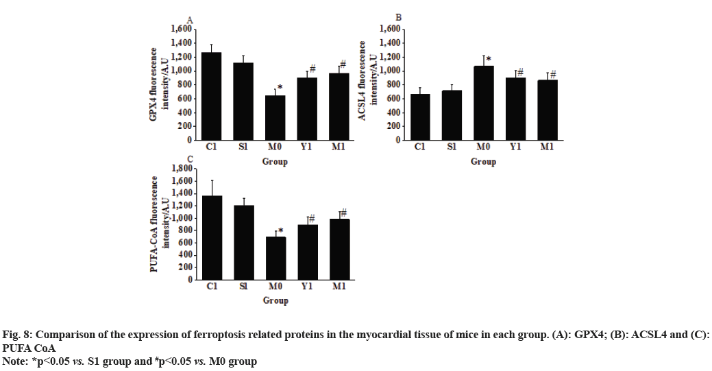 IJPS-proteins