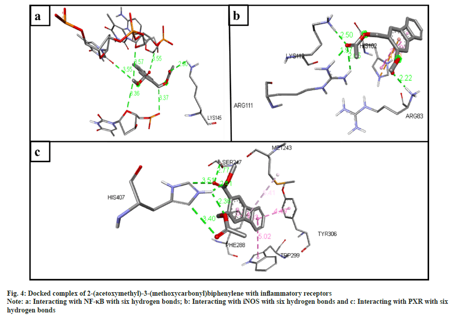 IJPS-receptors