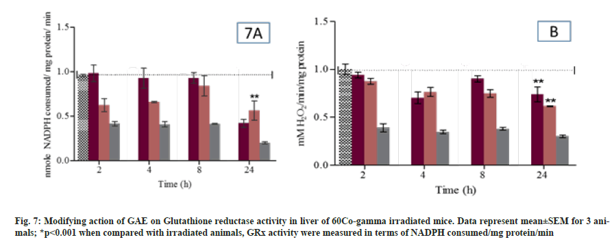 IJPS-reductase