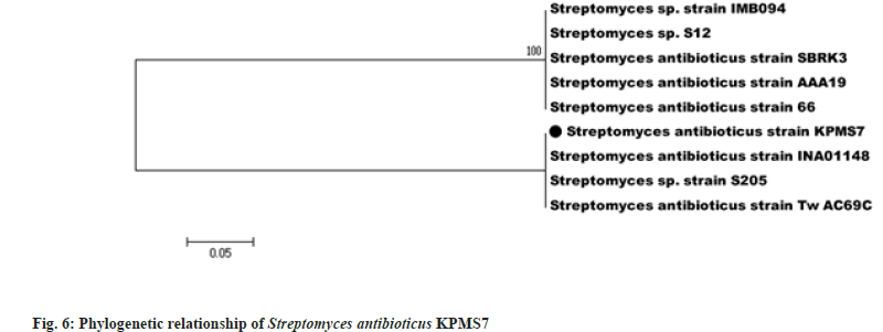 IJPS-relationship