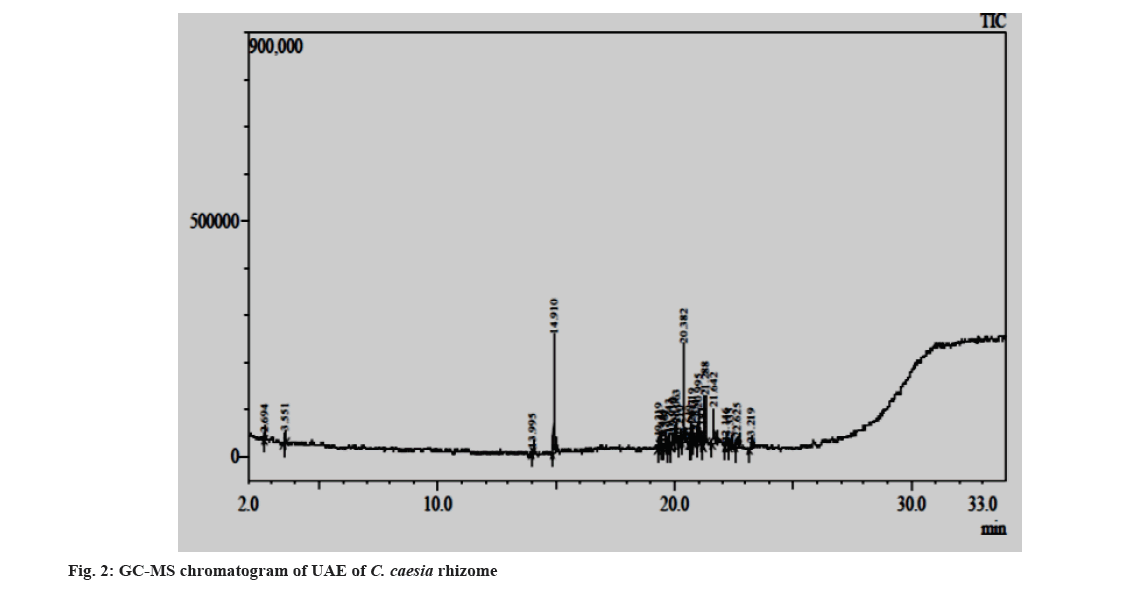 IJPS-rhizome