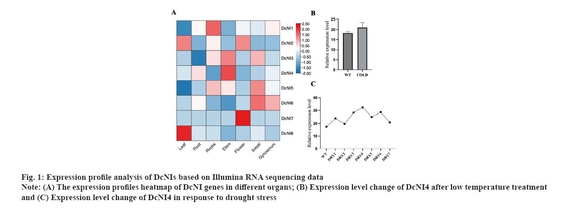 IJPS-sequencing