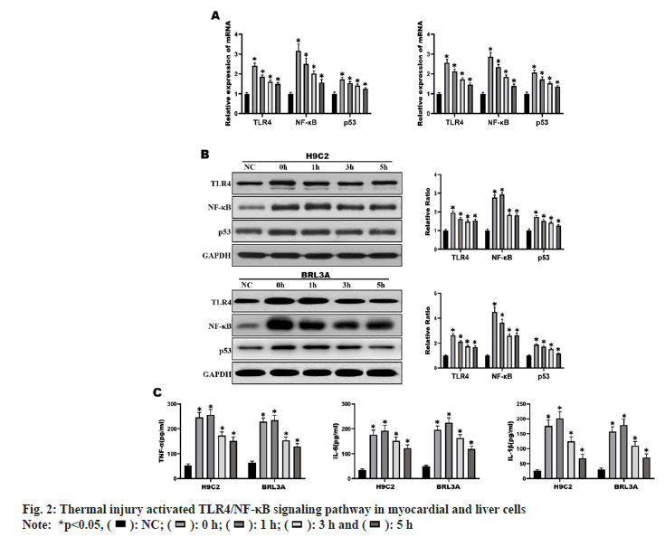 IJPS-signaling