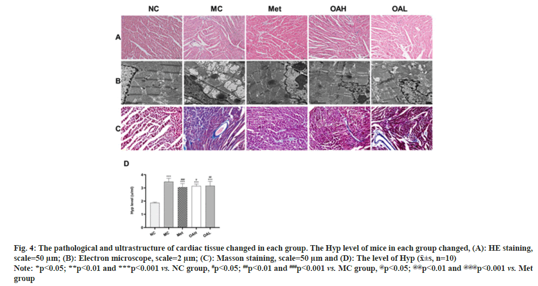 IJPS-tissue