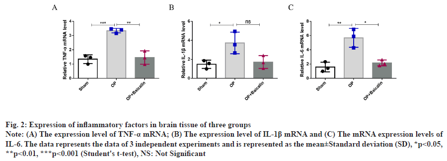 IJPS-tissue