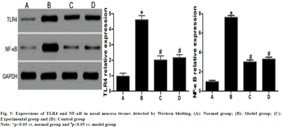 IJPS-tissues