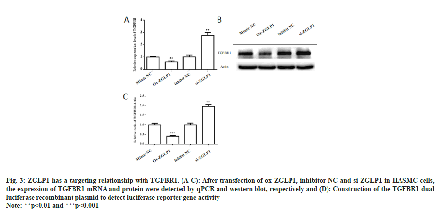 IJPS-transfection