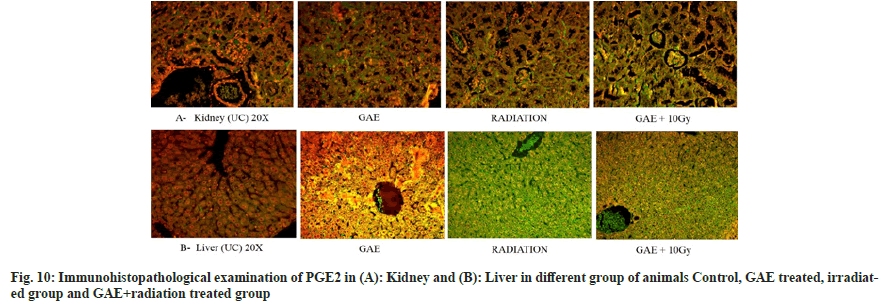 IJPS-treated