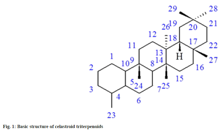 triterpenoids