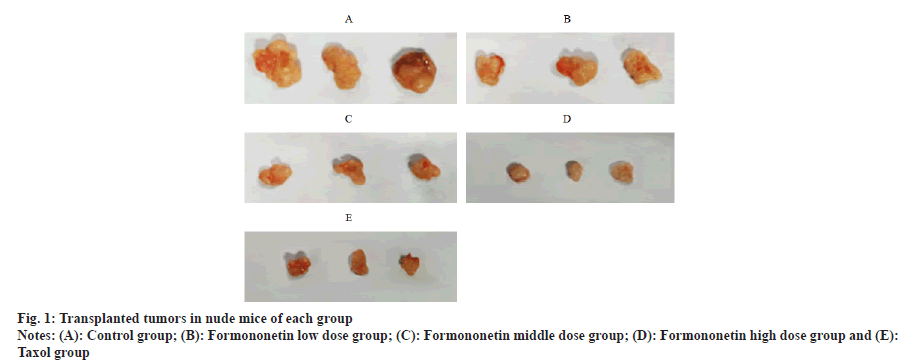 IJPS-tumor