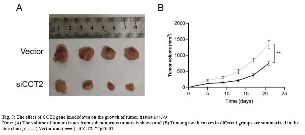 tumor