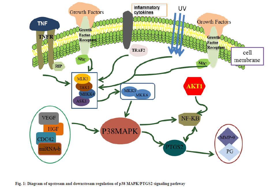 IJPS-upstream