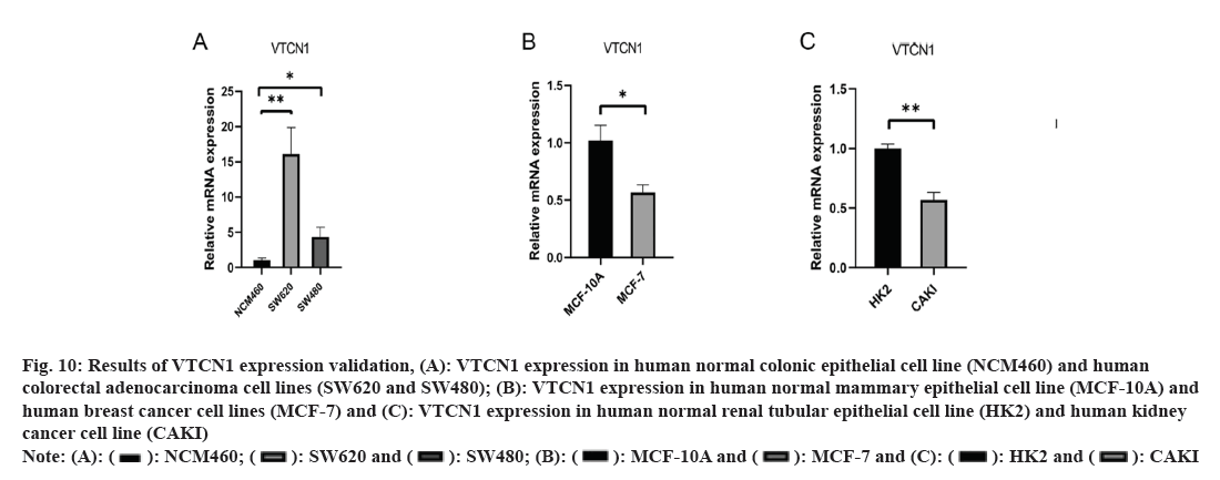 IJPS-validation