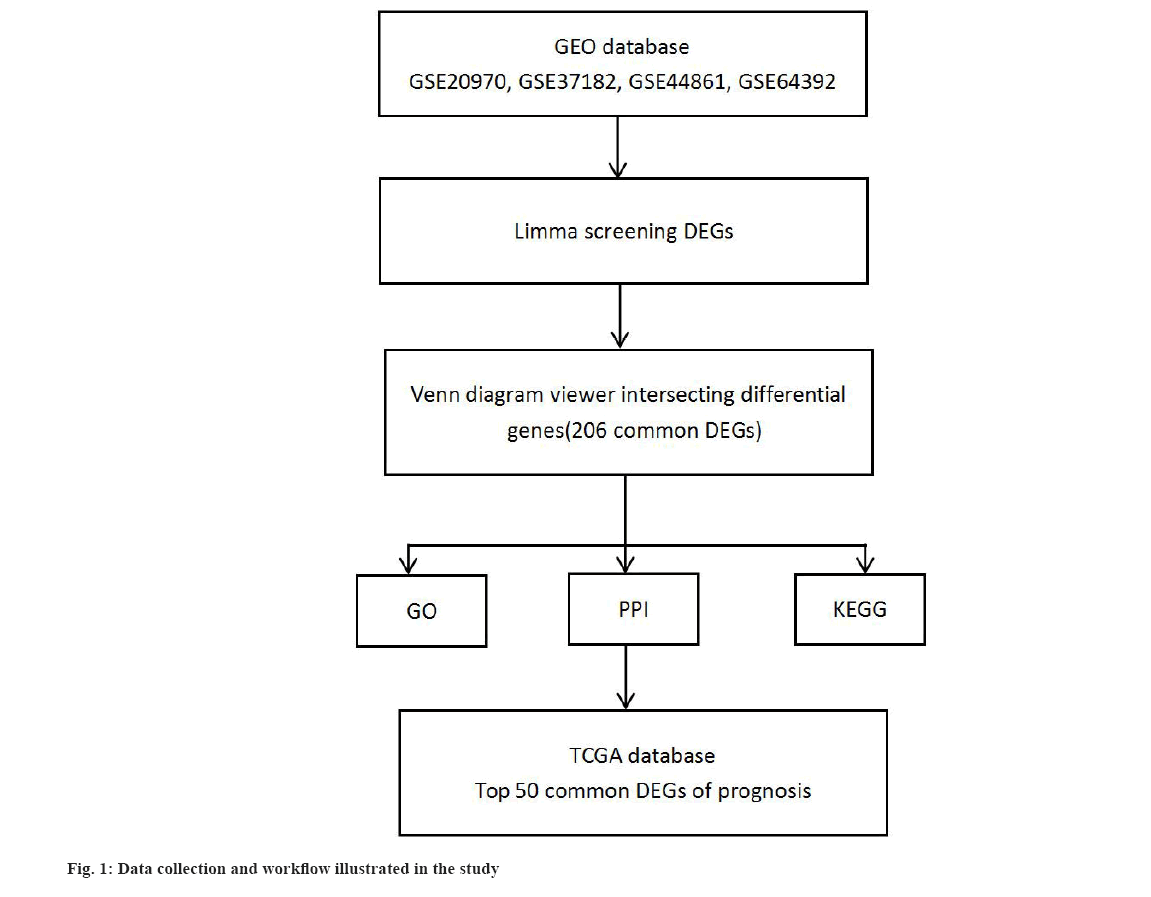 IJPS-workflow