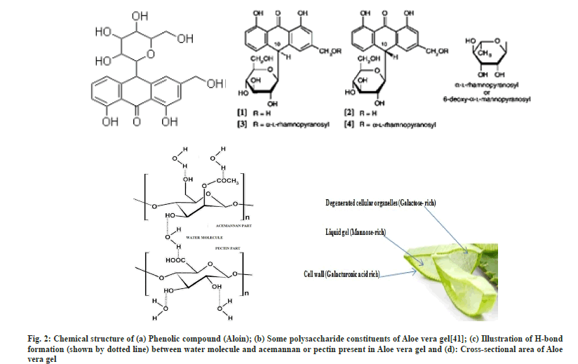 Indian-Journal-molecule