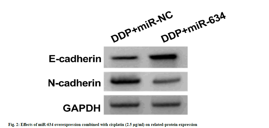 Indian-Journal-overexpression