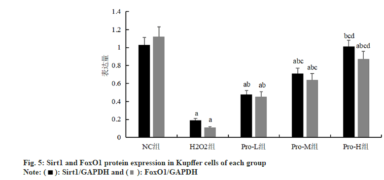 Indian-Journal-protein