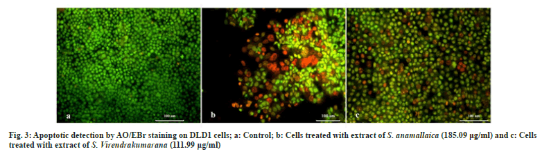 Apoptotic