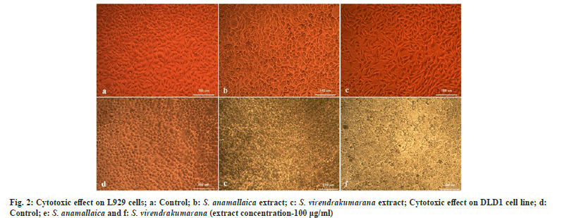 Cytotoxic