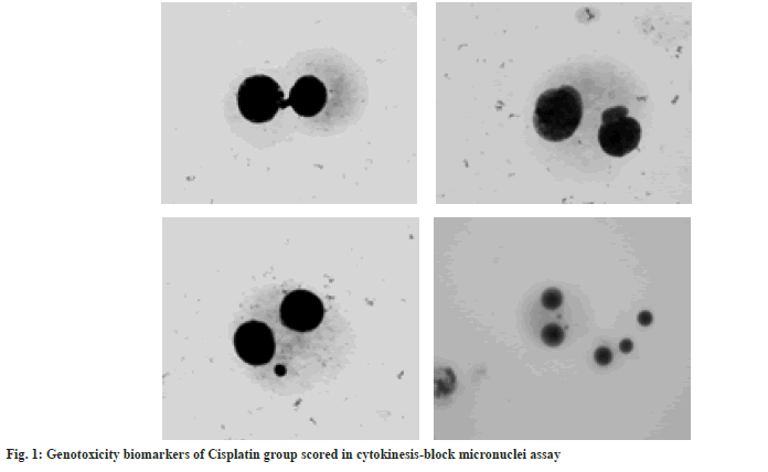 Genetoxicity