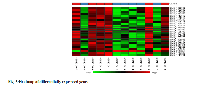 Heatmap