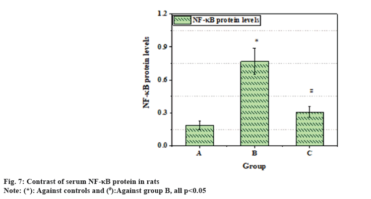 NF-κB