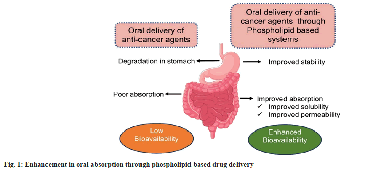 absorption