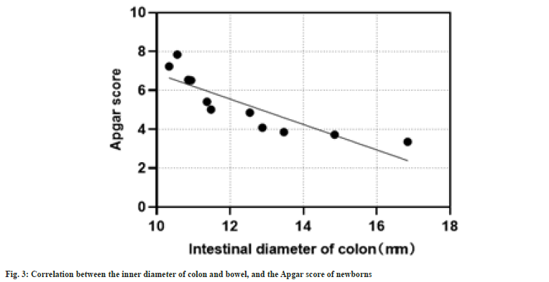 colon