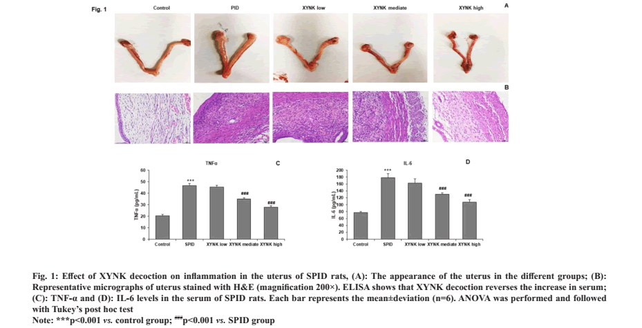 inflammation