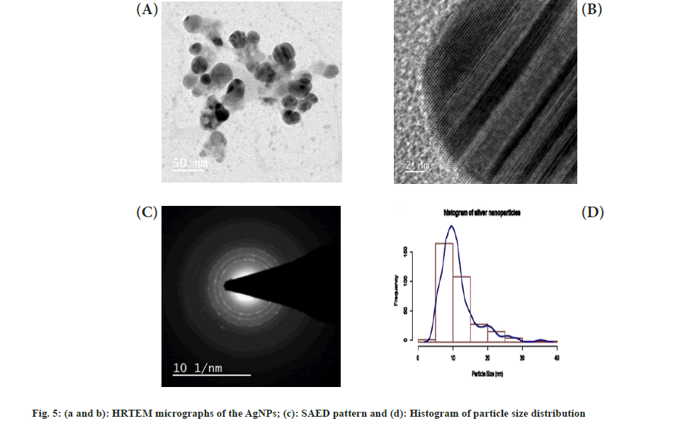 micrographs