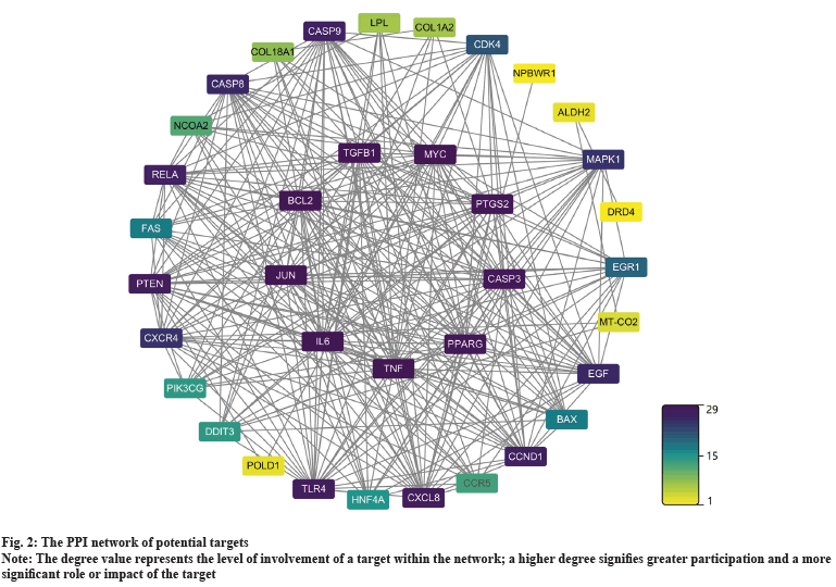 network