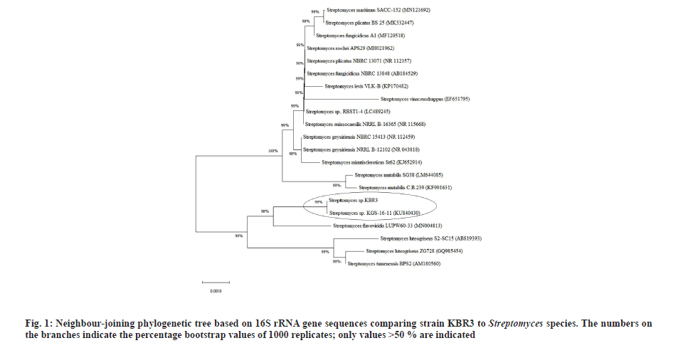 phylogenetic