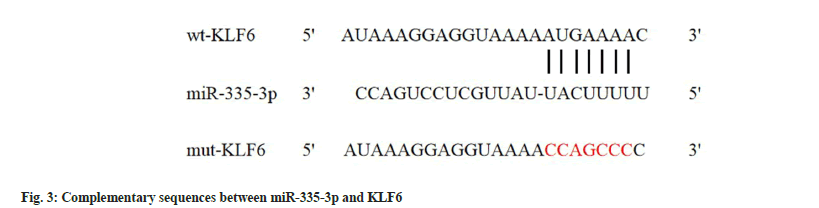 sequences