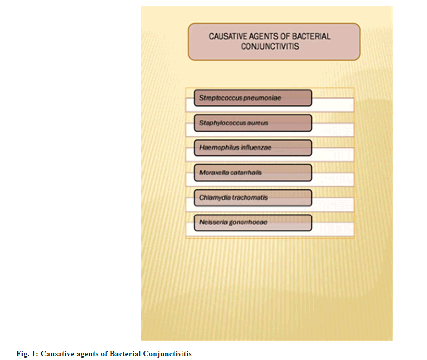 ijps-Causative