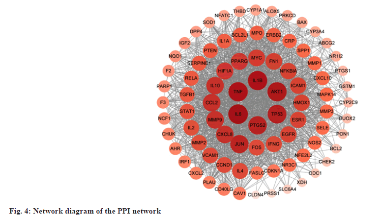 ijps-Network