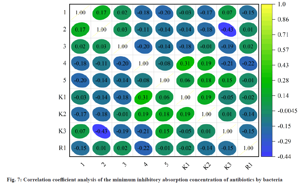 ijps-absorption