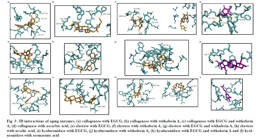 ijps-aging