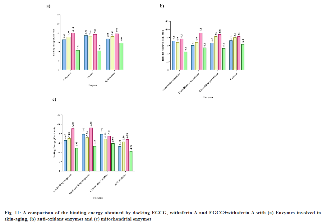 ijps-binding